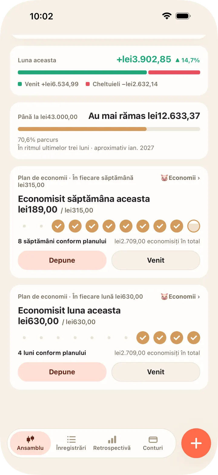 Zilnic, săptămânal sau lunar — vezi de cât timp ești conform planului